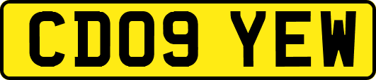 CD09YEW