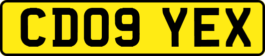 CD09YEX