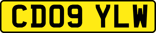 CD09YLW