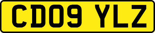 CD09YLZ