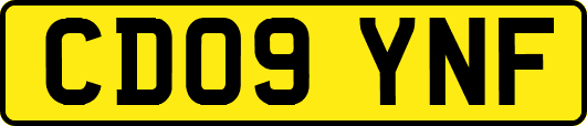 CD09YNF
