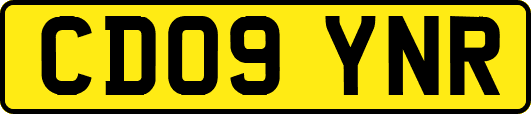 CD09YNR