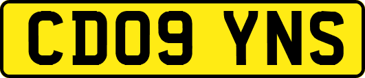 CD09YNS