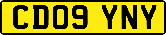 CD09YNY