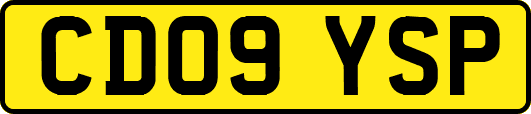 CD09YSP