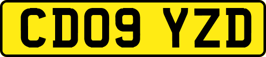 CD09YZD