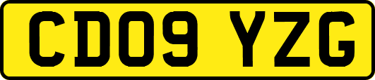 CD09YZG