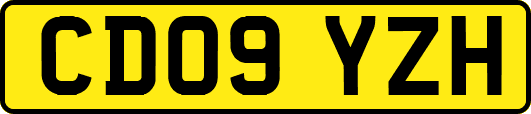 CD09YZH