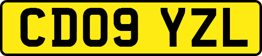CD09YZL