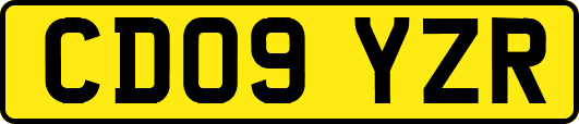 CD09YZR