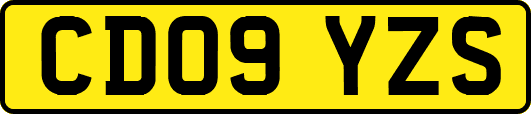 CD09YZS