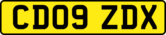 CD09ZDX