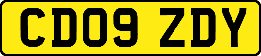 CD09ZDY