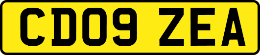 CD09ZEA