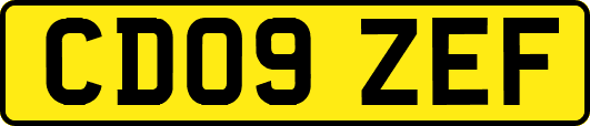 CD09ZEF