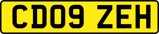 CD09ZEH