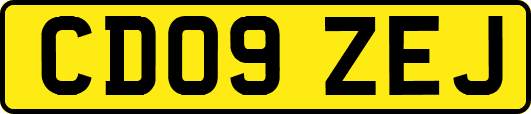 CD09ZEJ
