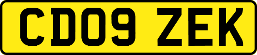 CD09ZEK