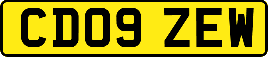 CD09ZEW