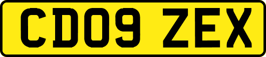 CD09ZEX