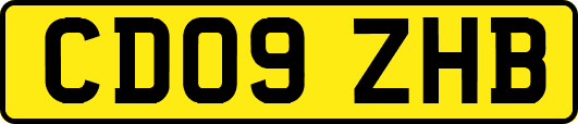 CD09ZHB