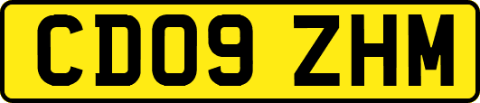 CD09ZHM