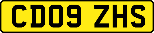 CD09ZHS