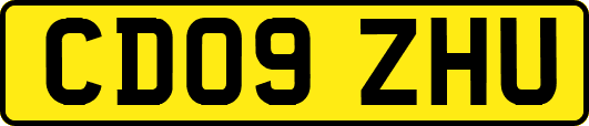 CD09ZHU