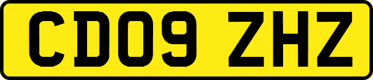 CD09ZHZ