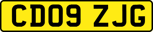 CD09ZJG