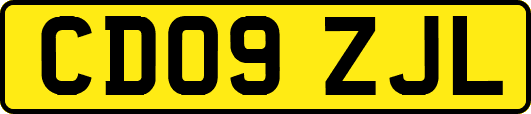 CD09ZJL