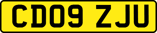 CD09ZJU