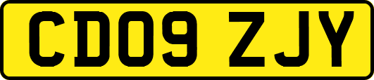 CD09ZJY