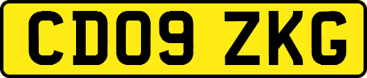 CD09ZKG