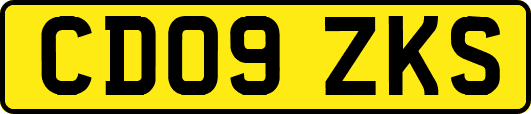 CD09ZKS