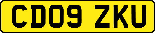 CD09ZKU