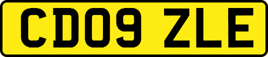 CD09ZLE