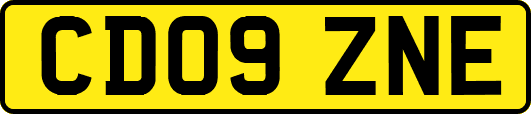 CD09ZNE