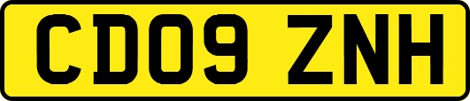CD09ZNH