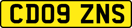 CD09ZNS