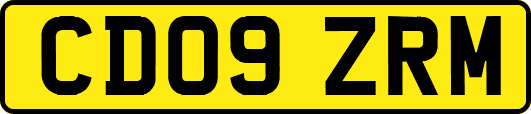 CD09ZRM