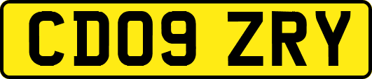 CD09ZRY