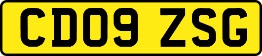 CD09ZSG