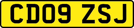 CD09ZSJ