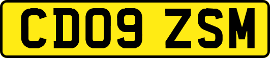 CD09ZSM