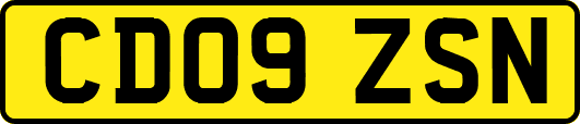 CD09ZSN