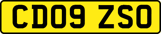 CD09ZSO