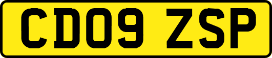 CD09ZSP