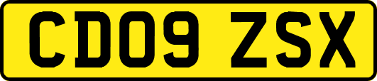 CD09ZSX