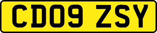CD09ZSY